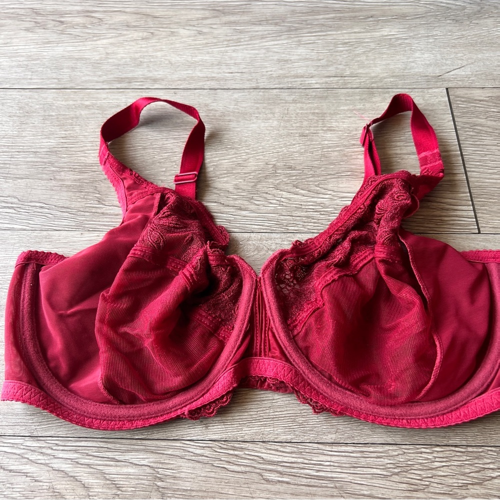 Wacoal 85702 Tulip Semi-Sheer Underwire Bra 36DD - Picture 3 of 5